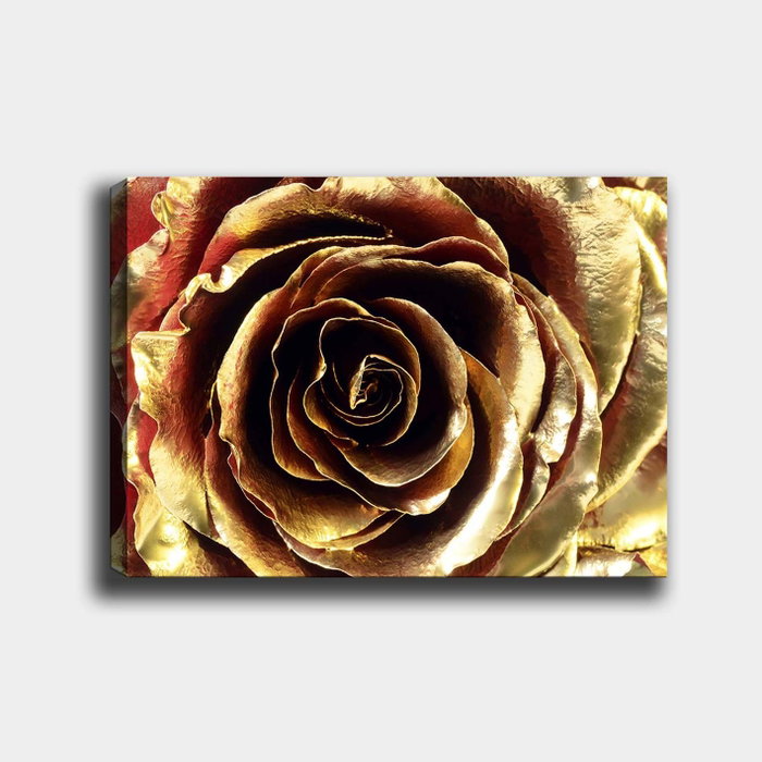 Wallity Lienzo decorativo Multicolor 70 x 100 cm